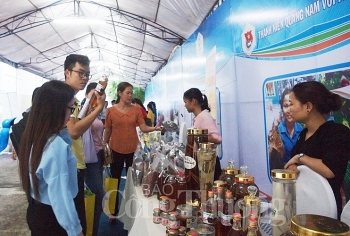 Quảng Nam: 93 gian hàng tham gia triển lãm khoa học công nghệ và khởi nghiệp