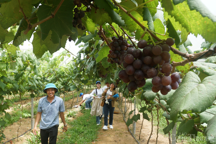 Đắk Nông: Phát triển du lịch canh nông