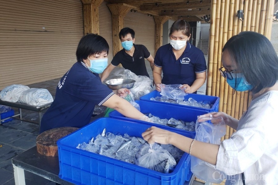 Đà Nẵng: Tổ chức các điểm bán hàng thực phẩm thiếu yếu lưu động phục vụ người dân