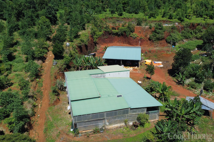 Đắk Nông: Chuyển Công an điều tra vụ cấp sai 65 Giấy chứng nhận quyền sử dụng đất tại Đắk Glong