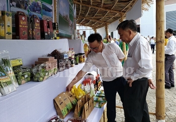 Duyên hải Nam Trung Bộ và Tây Nguyên vẫn còn là vùng trũng về xây dựng nông thôn mới