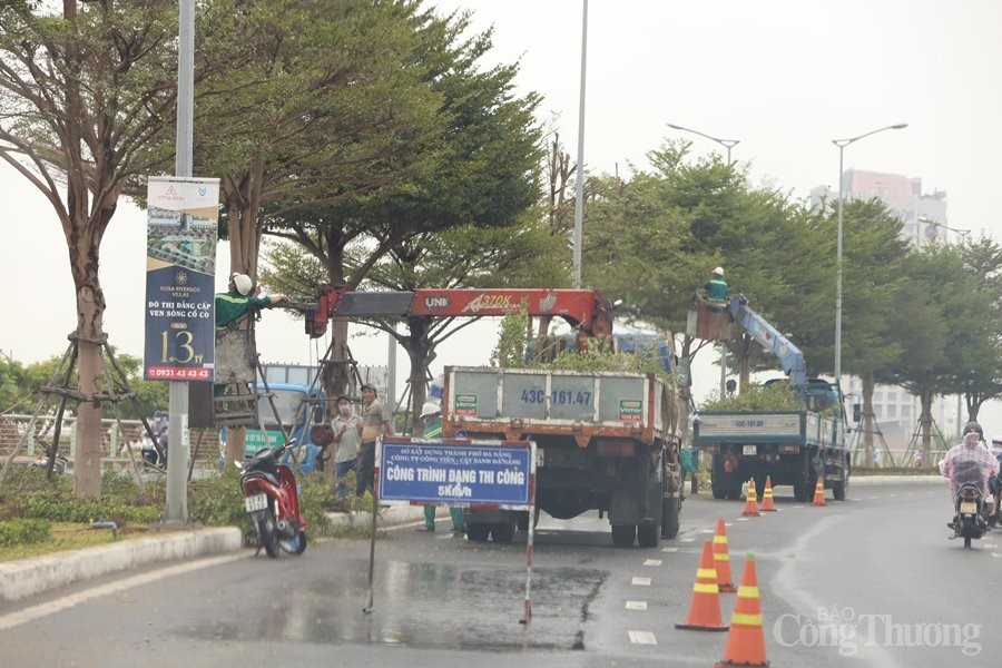 Đà Nẵng: Khẩn trương ứng phó với bão số 5