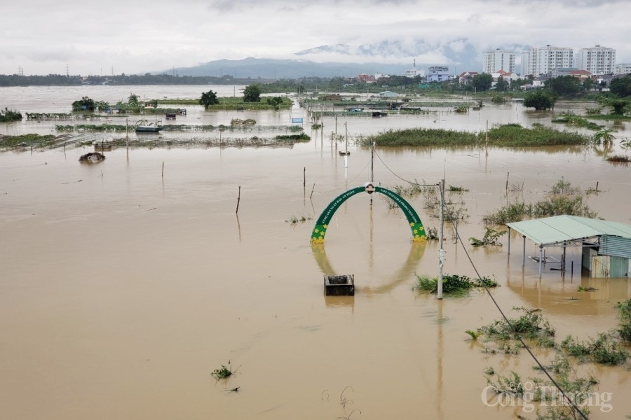 Đà Nẵng: Khẩn trương ứng phó với bão số 9, không chủ quan, suy nghĩ xuôi chiều