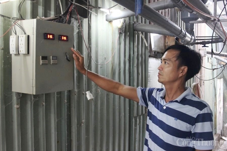 Đà Nẵng: Ứng dụng công nghệ sản xuất nấm rơm hiệu quả cao