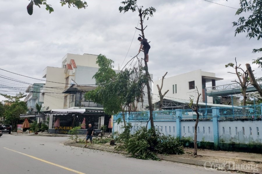 Đà Nẵng: Khẩn trương sơ tán hơn 92.000 người dân đến nơi tránh trú bão an toàn