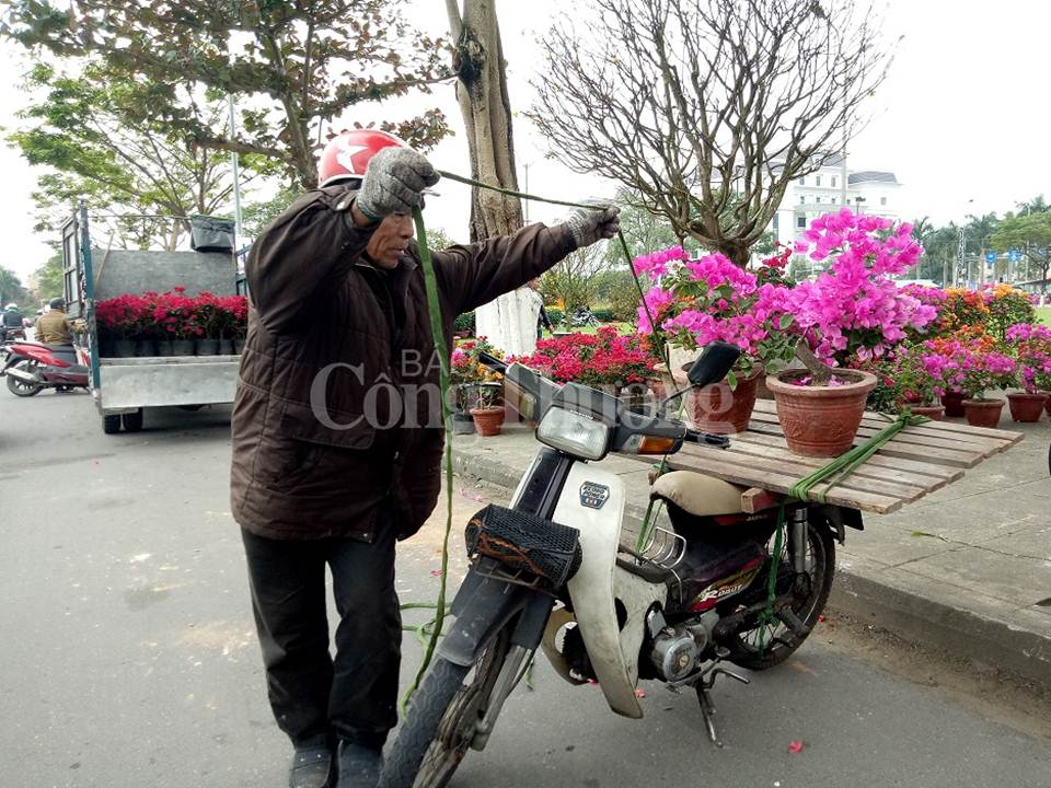 Đà Nẵng sôi động chợ hoa Tết