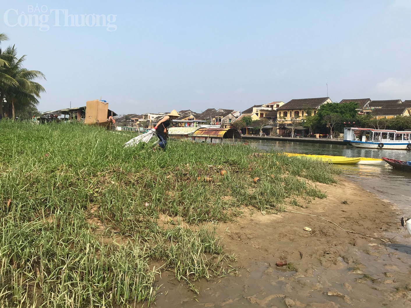 Tham quan phố Hội, du khách chèo thuyền vớt 1 tấn rác trên sông