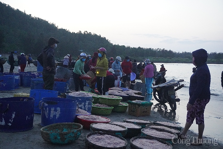 Ngư dân Đà Nẵng kiếm cả triệu đồng 1 đêm trong mùa ruốc