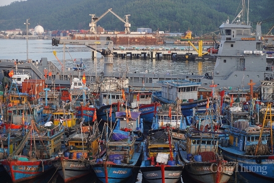 Đà Nẵng: Nỗi lo thiếu hụt lao động biển