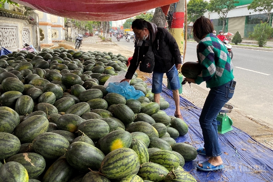 Người dân Đà Nẵng hỗ trợ nông dân các tỉnh tìm đầu ra cho dưa hấu