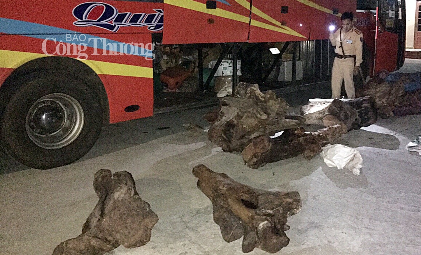 Quảng Nam:  Phát hiện xe khách vận chuyển hơn 800kg gỗ lậu trong đêm