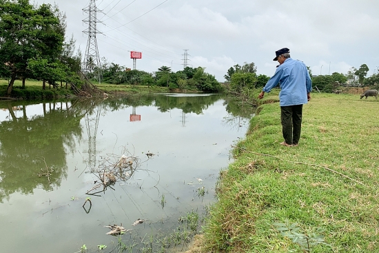 Nước thải từ cơ sở sản xuất tinh bột mì là lý do gây ra vụ cá chết hàng loạt trên sông Bàu Giang?