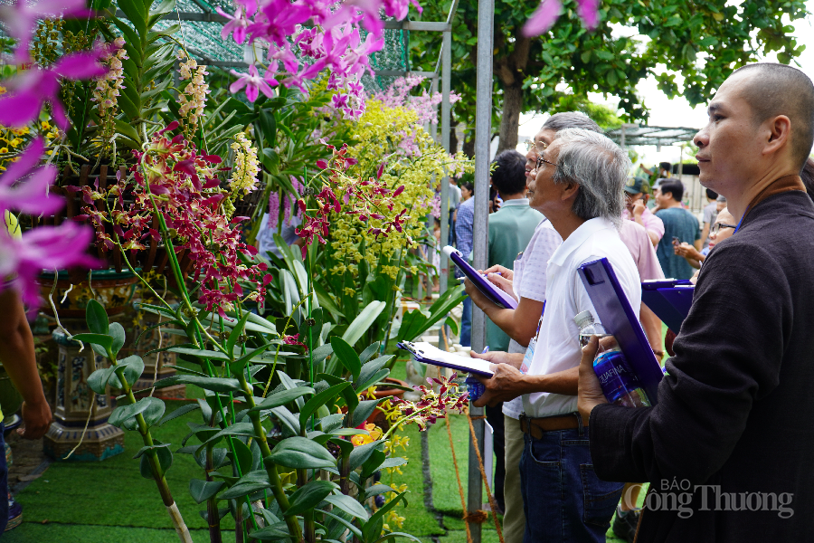 Rực rỡ Lễ hội hoa Lan thành phố Đà Nẵng 2022