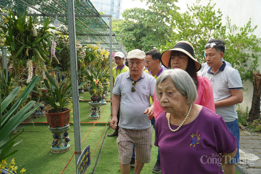 Rực rỡ Lễ hội hoa Lan thành phố Đà Nẵng 2022