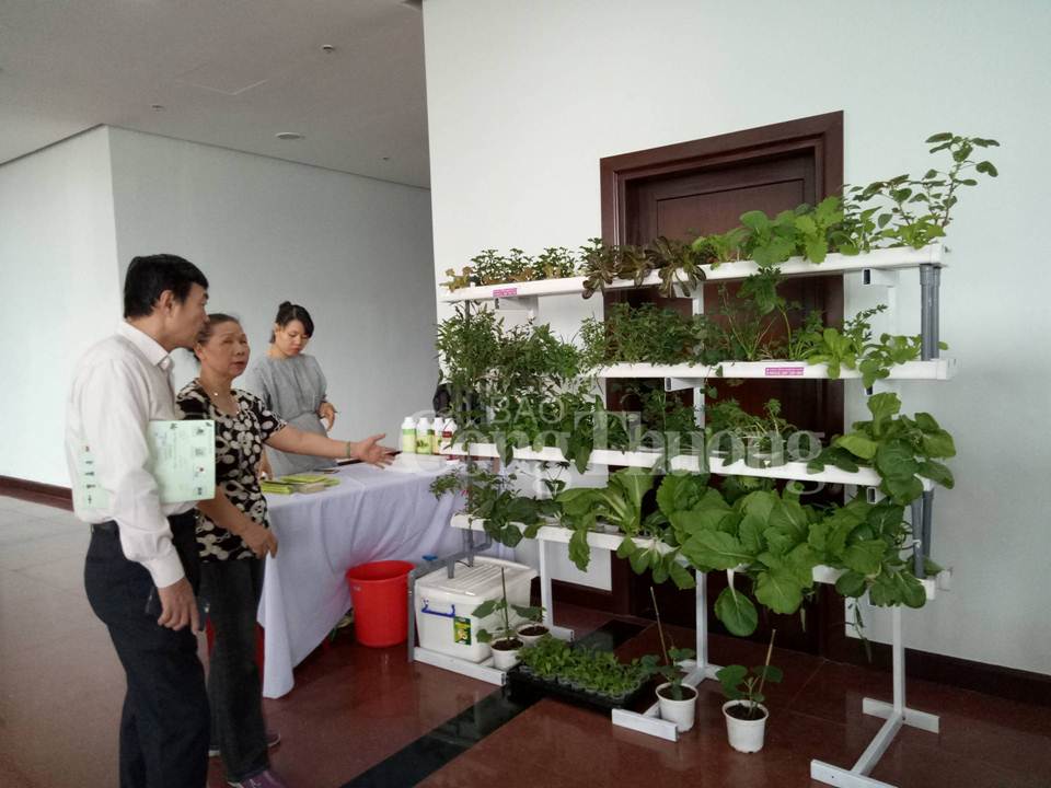 Đà Nẵng: Tạo cơ chế khuyến khích đầu tư phát triển nông nghiệp công nghệ cao