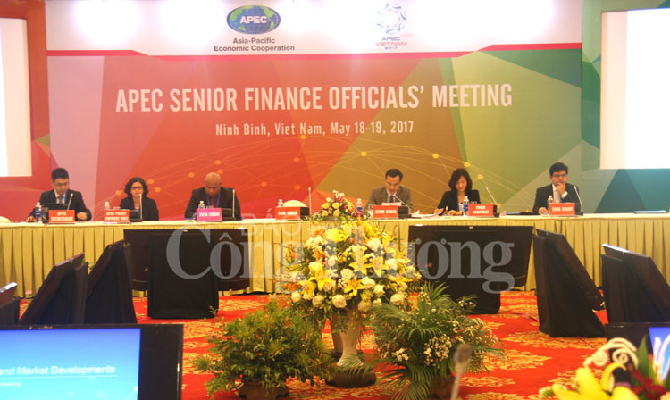 Rà soát triển khai 4 ưu tiên hợp tác tài chính APEC