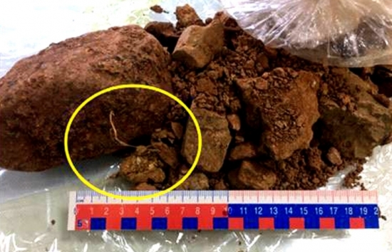 Xuất khẩu quặng bauxite thô, một doanh nghiệp đã bị khởi tố