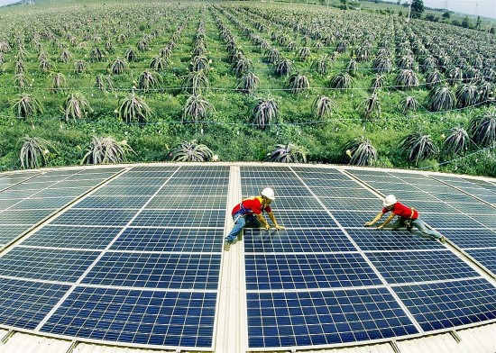 Đề nghị các bộ ngành phối hợp tạo thuận lợi cho phát triển năng lượng tái tạo