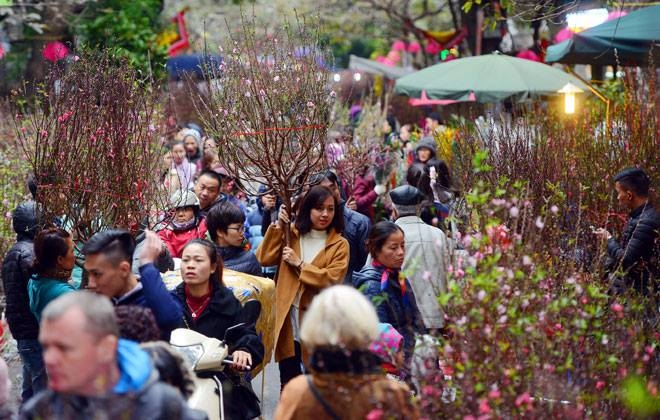 Hà Nội tổ chức 63 điểm chợ hoa xuân dịp Tết Mậu Tuất