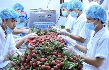 Năm 2018: Trung Quốc đứng vị trí thứ nhất về thị trường nhập khẩu rau quả của Việt Nam