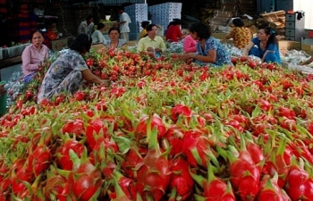 Xuất khẩu nông sản sang Trung Quốc gặp khó trước tâm dịch Corona