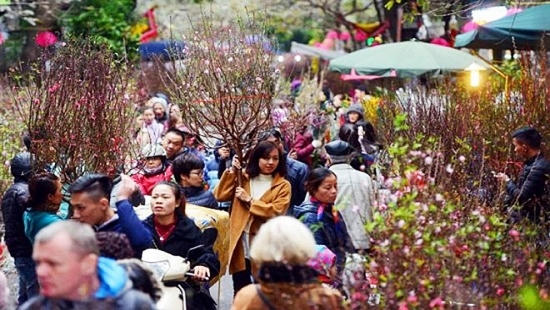 Hà Nội: Tổ chức 89 điểm chợ hoa xuân phục vụ Tết Tân Sửu 2021