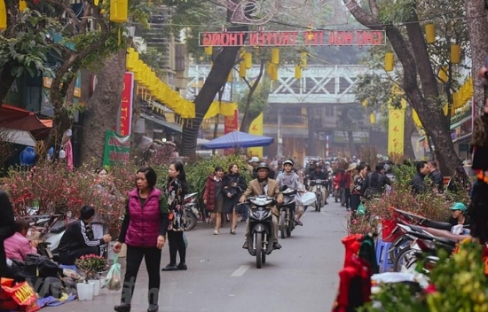 Những tuyến đường nào ở Hà Nội bị cấm để tổ chức chợ hoa Xuân 2022?