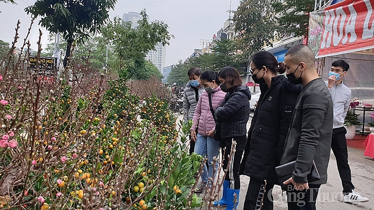 Người dân Thủ đô thăm quan mua hoa, cây cảnh tại chợ hoa xuân
