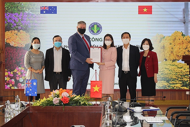 Ngày 24/01/2021, Cục BVTV phối hợp với Đại sứ quán Australia tại Việt Nam tổ chức “Lễ công bố biện pháp xử lý kiểm dịch thực vật mới đối với hoa cắt cành xuất khẩu sang Australia”. 