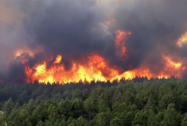 Thủ tướng yêu cầu tăng cường triển khai các biện pháp cấp bách phòng cháy, chữa cháy rừng