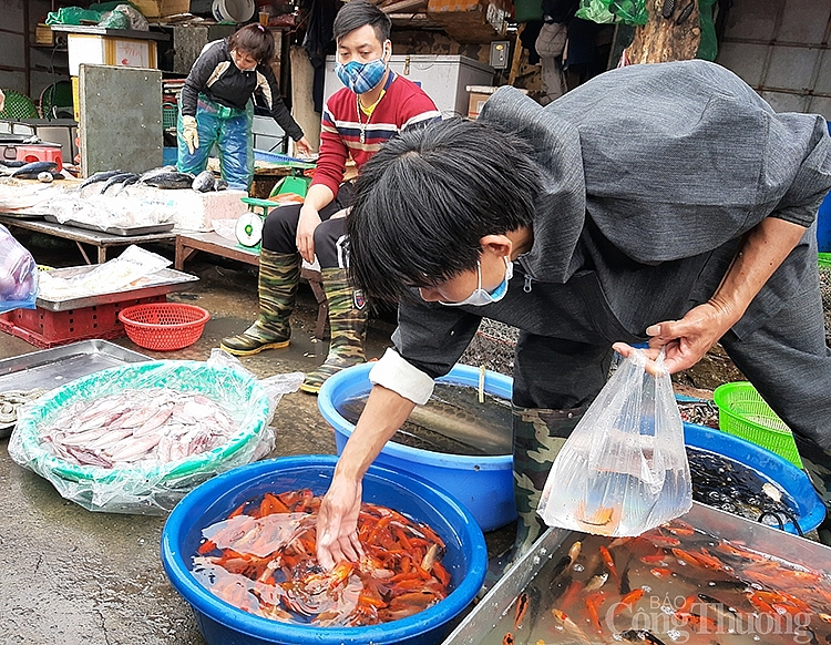 Tiểu thương tại chợ đầu mối phía Nam đang bắt cá chép để bán cho người tiêu dùng