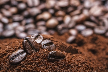 9 tháng năm 2022, xuất khẩu cà phê sang Tây Ban Nha tăng trưởng 2 con số
