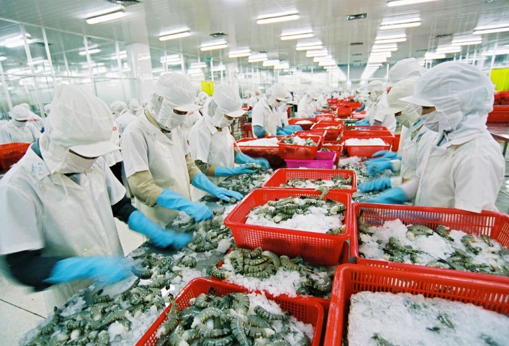 Thủy sản là một trong những mặt hàng xuất khẩu truyền thống và chủ lực ở Việt Nam
