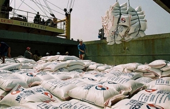 Bộ Công Thương khuyến cáo doanh nghiệp xuất khẩu gạo thực hiện nghiêm Nghị định 107