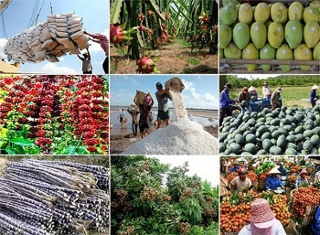 Nhận định thị trường xuất khẩu nông lâm sản 6 tháng cuối năm 2023