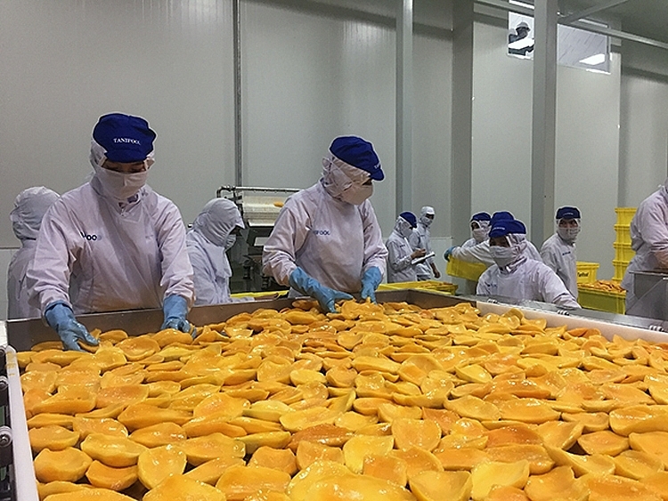 Xu hướng chuyển dịch xuất khẩu rau quả sang các thị trường ngoài Trung Quốc