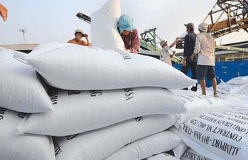 Quý I/2019, xuất khẩu gạo giảm 20,2% giá trị