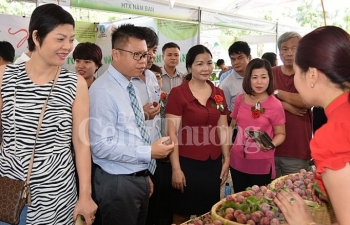 Đưa trái mận và nông sản an toàn tỉnh Sơn La về Hà Nội