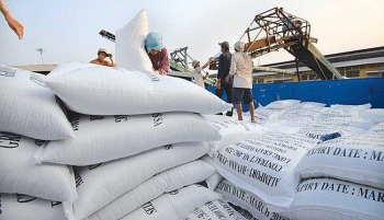 Chuyên gia nông nghiệp Hoàng Trọng Thủy: Một số nước cấm xuất khẩu gạo - Cơ hội của ta nhiều, thách thức cũng không nhỏ