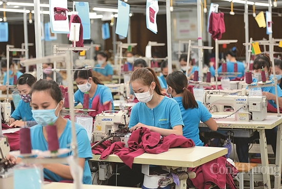 Thứ trưởng Nguyễn Sinh Nhật Tân: Ngành dệt may cần tận dụng cơ hội từ các FTA