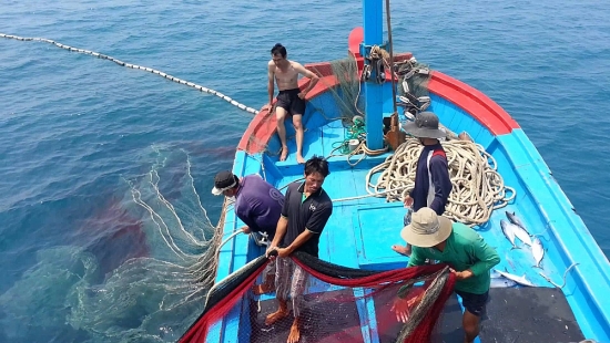 Hội Nghề cá Việt Nam phản đối lệnh cấm đánh bắt cá phi lý của Trung Quốc ở Biển Đông