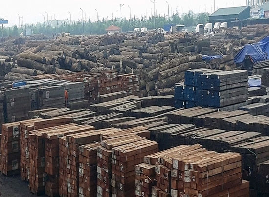 Giảm rủi ro cho nguồn cung gỗ nhập khẩu từ châu Phi