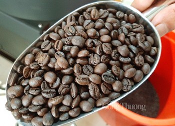 Hiệp định thương mại tự do giúp “trợ lực” xuất khẩu cà phê