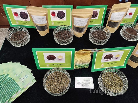 Xúc tiến xuất khẩu trà tỉnh Lai Châu vào thị trường Trung Đông, Bắc Phi và Nam Á