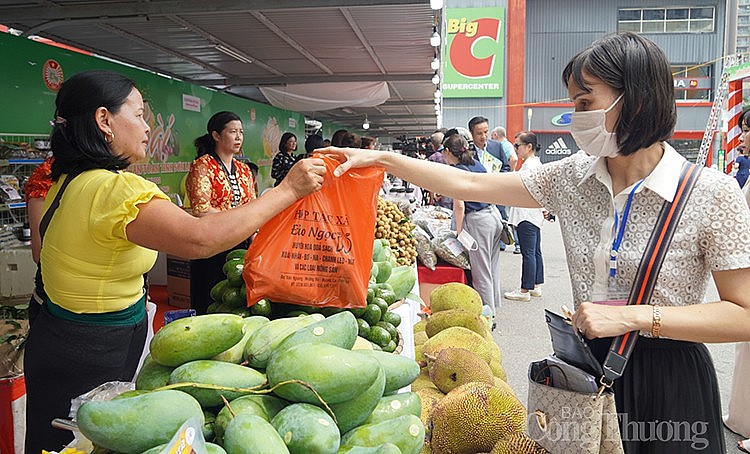 Người tiêu dùng Thủ đô mua sắm sản phẩm nông sản tại gian hàng phía trước siêu thị Big C - Thăng Long