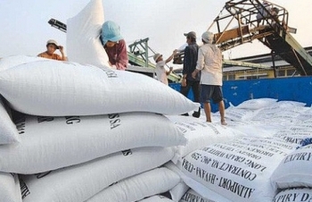 7 tháng năm 2018, xuất khẩu gạo tăng mạnh cả lượng và giá trị