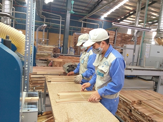 Cần hình thành và thực hiện các cơ chế giảm thiểu rủi ro nguồn cung gỗ dán