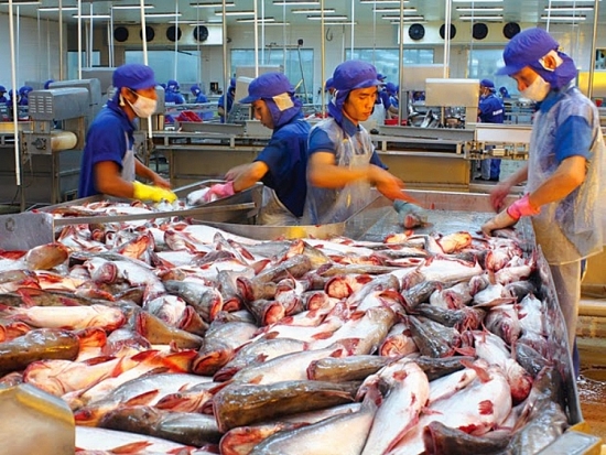 Xuất khẩu cá tra: “Bứt tốc” để khai thác lợi thế từ thị trường