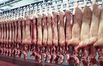 Sắp có bộ tiêu chuẩn quốc gia Việt Nam về thịt mát