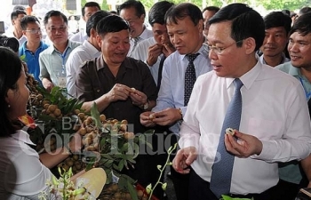 Phó Thủ tướng Vương Đình Huệ chỉ đạo xúc tiến tiêu thụ nhãn và nông sản năm 2018